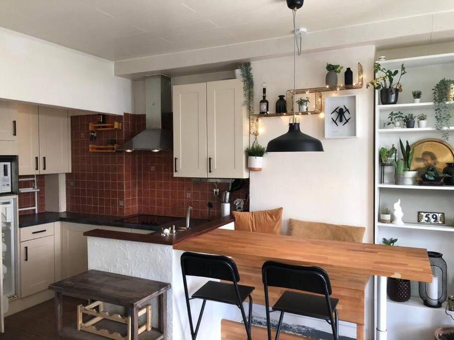 Studio Zeezucht Blankenberge Ngoại thất bức ảnh