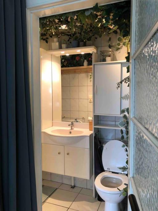 Studio Zeezucht Blankenberge Ngoại thất bức ảnh