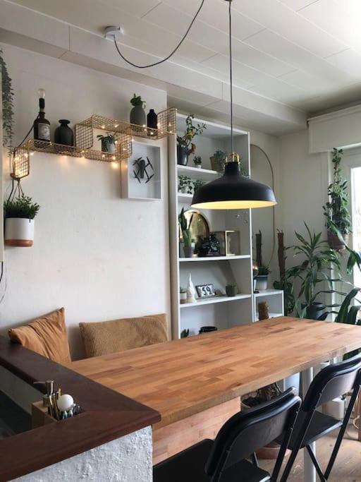 Studio Zeezucht Blankenberge Ngoại thất bức ảnh